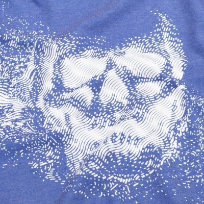 Mini boys blue skull print t-shirt